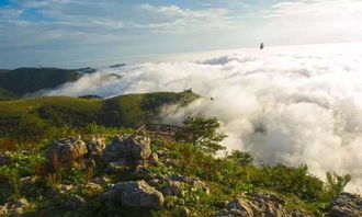5.19中國旅游日“惠”游湖北 夏天來宜昌山林峽谷，一起漂流一起嗨！